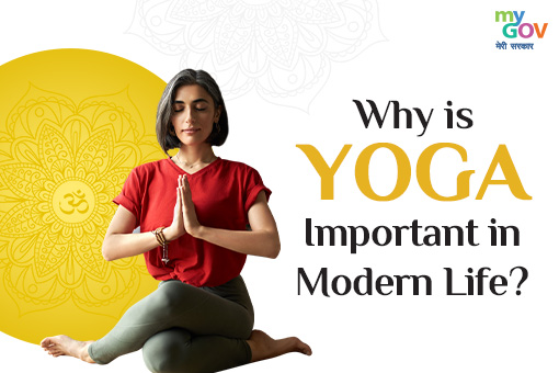 Yoga Lifestyle Blogs — Yoga for Life